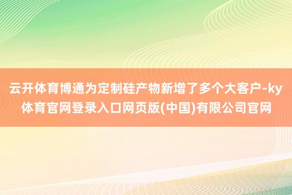 云开体育博通为定制硅产物新增了多个大客户-ky体育官网登录入口网页版(中国)有限公司官网
