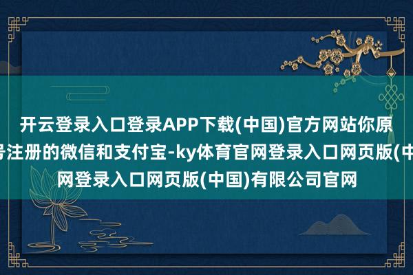 开云登录入口登录APP下载(中国)官方网站你原本用的一个手机号注册的微信和支付宝-ky体育官网登录入口网页版(中国)有限公司官网