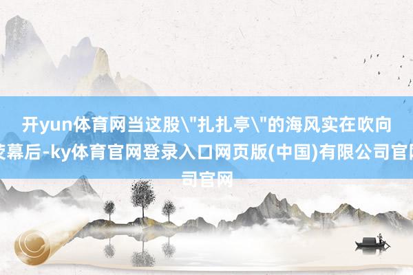 开yun体育网当这股